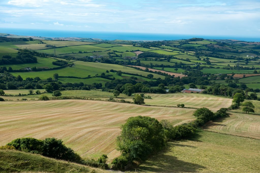 Rolling fields below a bright blue sky.